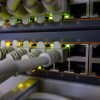 network, edp, plug-4393368.jpg